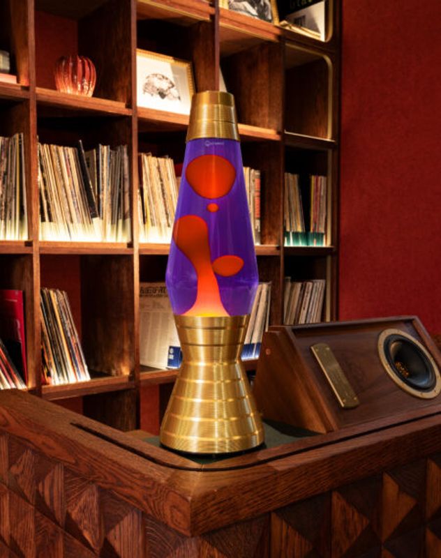 Astro lavalampe: Vinyl Gull